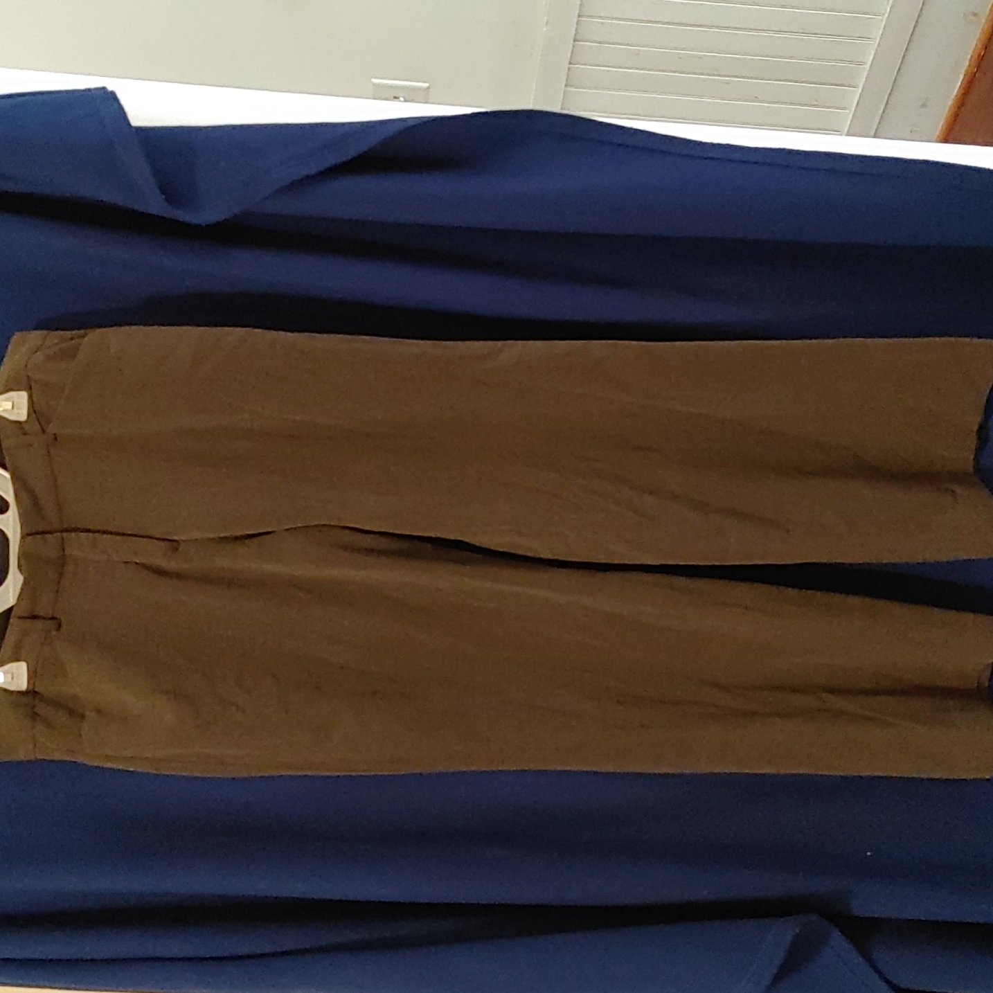 Express Pants/Slacks